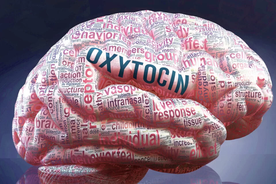 Oxytocin: The Hormone of Memory and Hope in the Fight Against Dementia