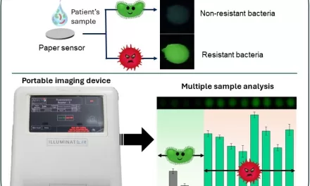 New Paper-Based Platform Developed for Rapid Detection of Antibiotic-Resistant Bacteria