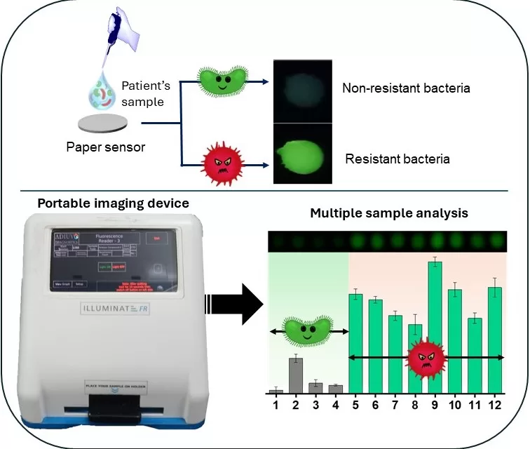 New Paper-Based Platform Developed for Rapid Detection of Antibiotic-Resistant Bacteria