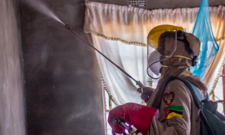 Updated WHO guidance for controlling vector-borne diseases through indoor residual spraying