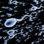 Looking for a Sperm Donor Online? Here Are Four Things to Consider First