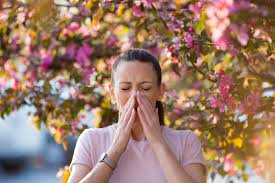 Spring Allergy Season Arrives Early and Intense, Experts Warn