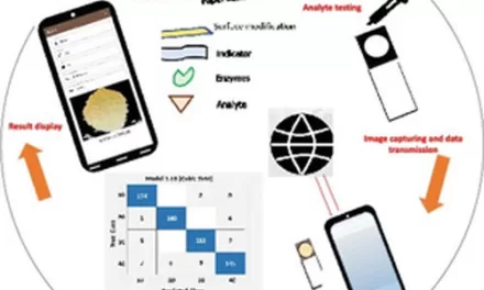 IIT Jodhpur Researchers Unveil Innovative Paper-Based Device for Glucose Detection via Smartphones