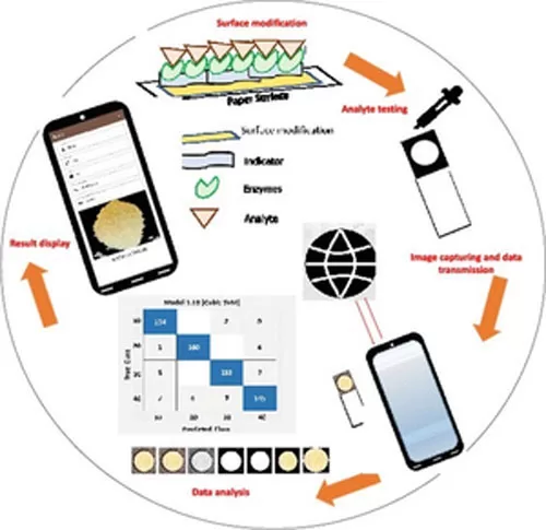 IIT Jodhpur Researchers Unveil Innovative Paper-Based Device for Glucose Detection via Smartphones