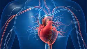 Study Reveals Midazolam’s Positive Impact on Post-Cardiac Arrest Patients