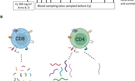 Second-Generation Melanoma Vaccine Shows Promise in Improving Long-Term Survival