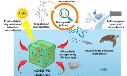 IISc Researchers Develop Sustainable Hydrogel to Combat Microplastic Pollution