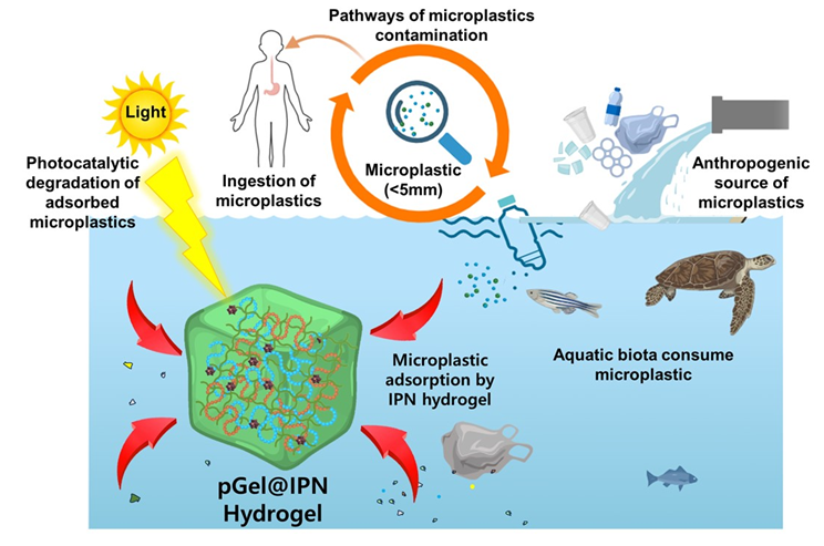 IISc Researchers Develop Sustainable Hydrogel to Combat Microplastic Pollution