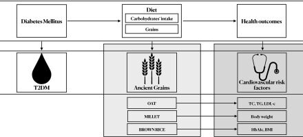 Review Suggests Ancient Grains Might Improve Type 2 Diabetes Outcomes, But Further Research Needed