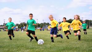 Groundbreaking Study Reveals Watching Sports Enhances Well-being and Rewires Brain