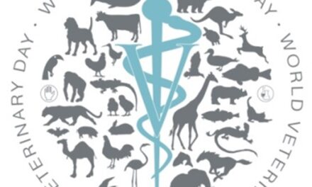 World Veterinary Day 2024, Veterinarians at the Forefront of Public Health