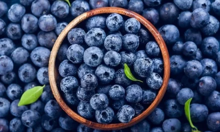 Wild Blueberry Extract Shows Promise in Cognitive and Cardiovascular Health Among Healthy Older Adults