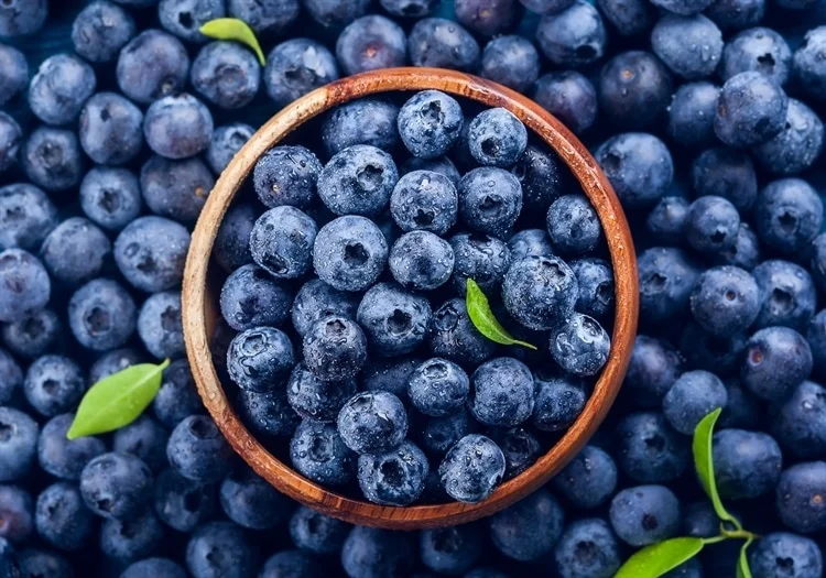 Wild Blueberry Extract Shows Promise in Cognitive and Cardiovascular Health Among Healthy Older Adults