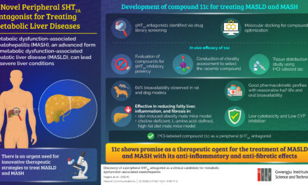 Novel Compound Holds Promise for Treating Metabolic Liver Disorders