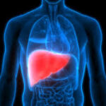 AI Revolutionizes Early Diagnosis of Liver Disease: Study Highlights Potential