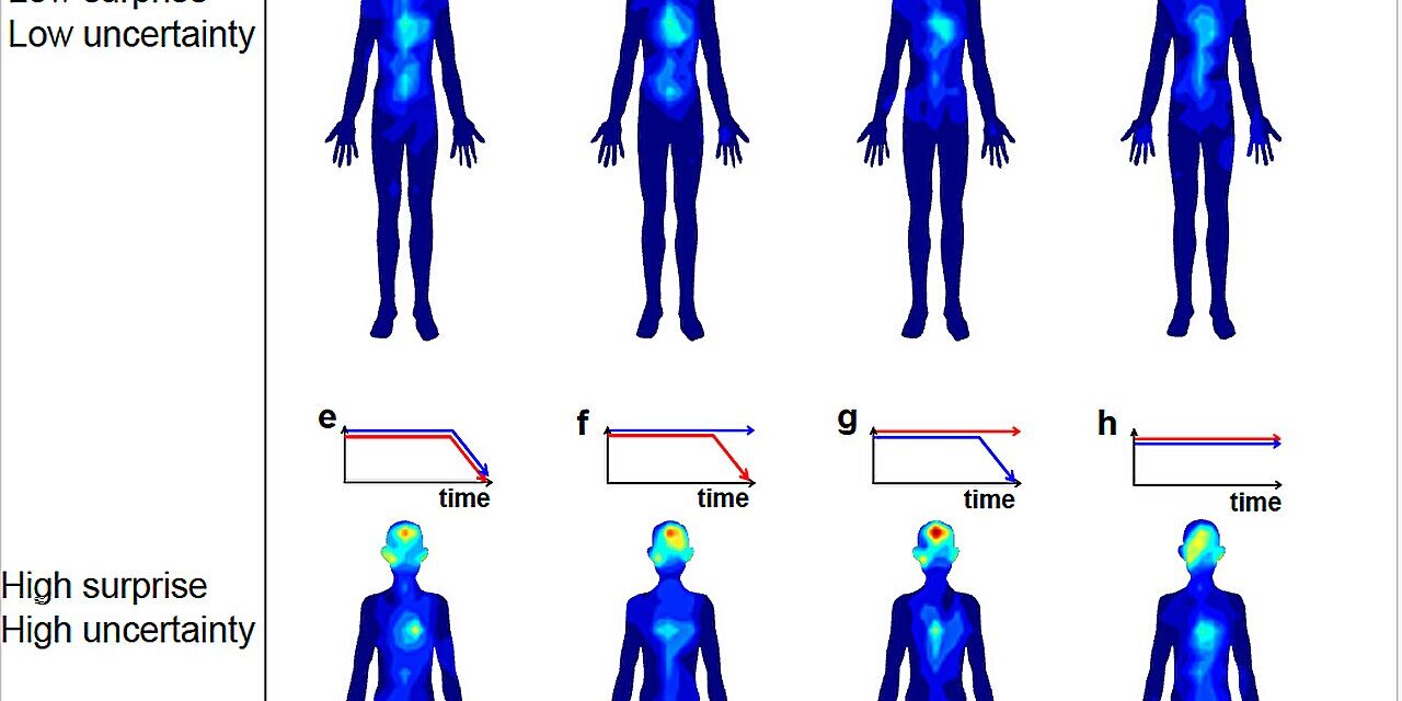 New Study Unveils the Intriguing Connection Between Music, Emotions, and Bodily Sensations