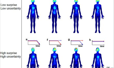 New Study Unveils the Intriguing Connection Between Music, Emotions, and Bodily Sensations