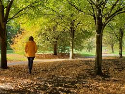 Time Spent in Nature Linked to Lower Inflammation Levels, Potentially Reducing Heart Disease and Diabetes Risk