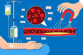  Chelation Therapy Not Linked to Reduced Cardiovascular Events in Post-MI Diabetic Patients”