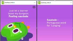 Duolingo Report Reveals Urban Indians’ Love for Regional Language Expressions