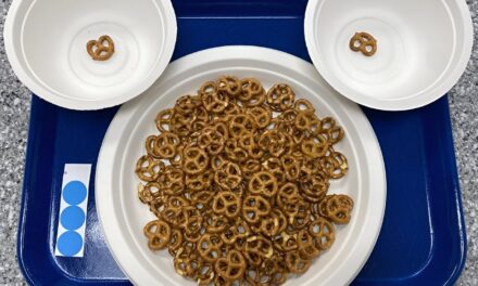 Study Finds Snack Size Influences Eating Behavior and Caloric Intake, Penn State Research Shows