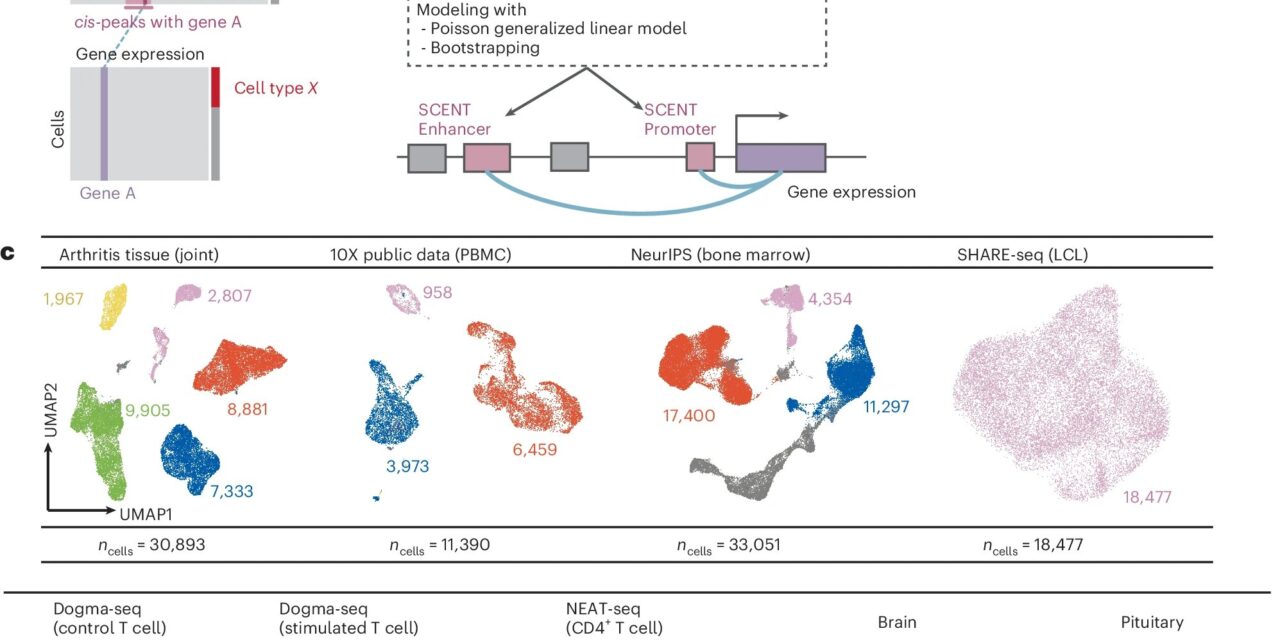 New Statistical Method Illuminates Genetic Drivers of Disease Progression