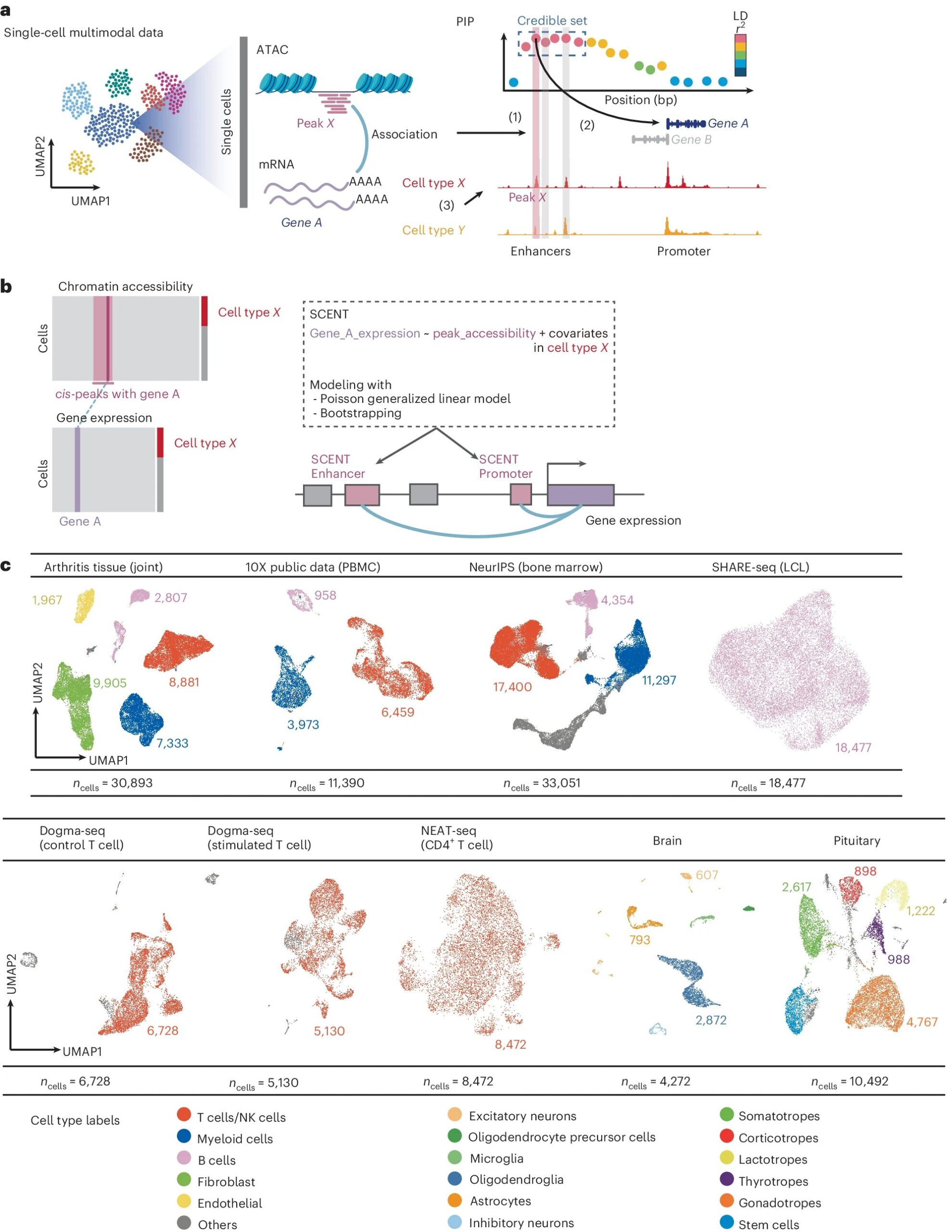 New Statistical Method Illuminates Genetic Drivers of Disease ... - Using Genetic Information For Disease Management
