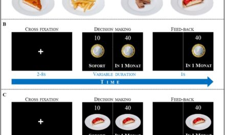 Bochum Neuroscience Study Reveals Contrasting Decision-Making Strategies for Food and Money Rewards