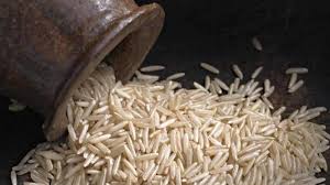 Breakthrough Research: Scientists Boost Vitamin B1 Levels in Rice