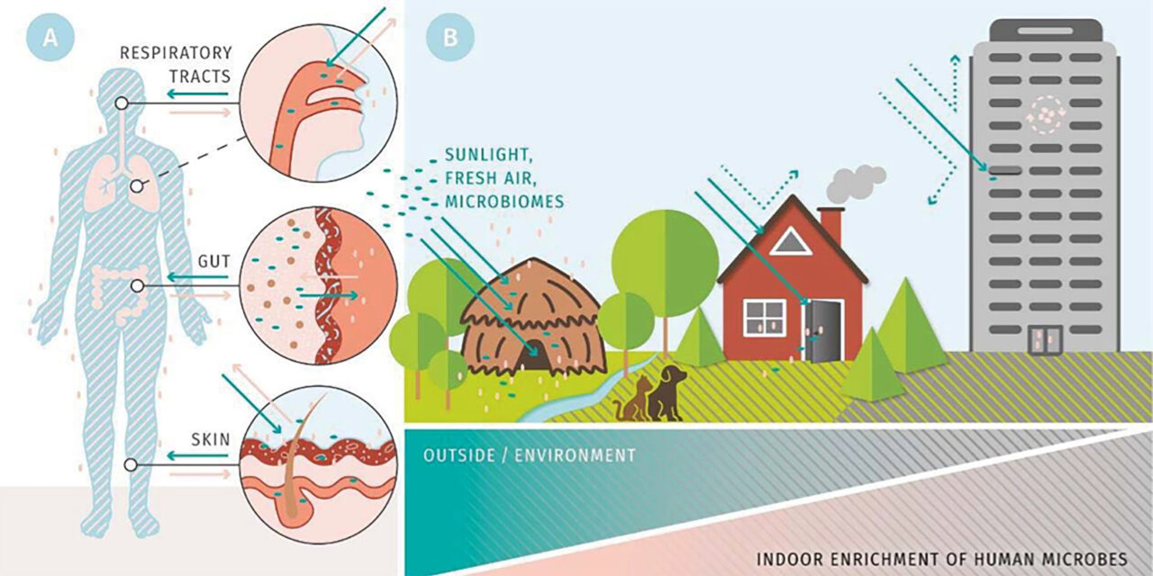 Researchers Propose Microbiome-Friendly Architecture for Healthier Urban Living