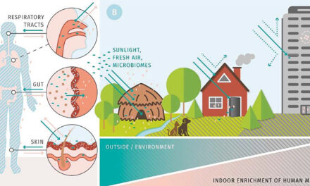 Researchers Propose Microbiome-Friendly Architecture for Healthier Urban Living