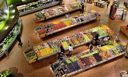 Study Reveals Socioeconomic Disparities in Food Choices: Fillingness Trumps Health for Low-SES Consumers