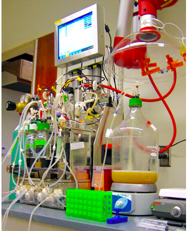 A Breakthrough in Nutritional Science: Tracking Diet Through Fecal DNA Analysis