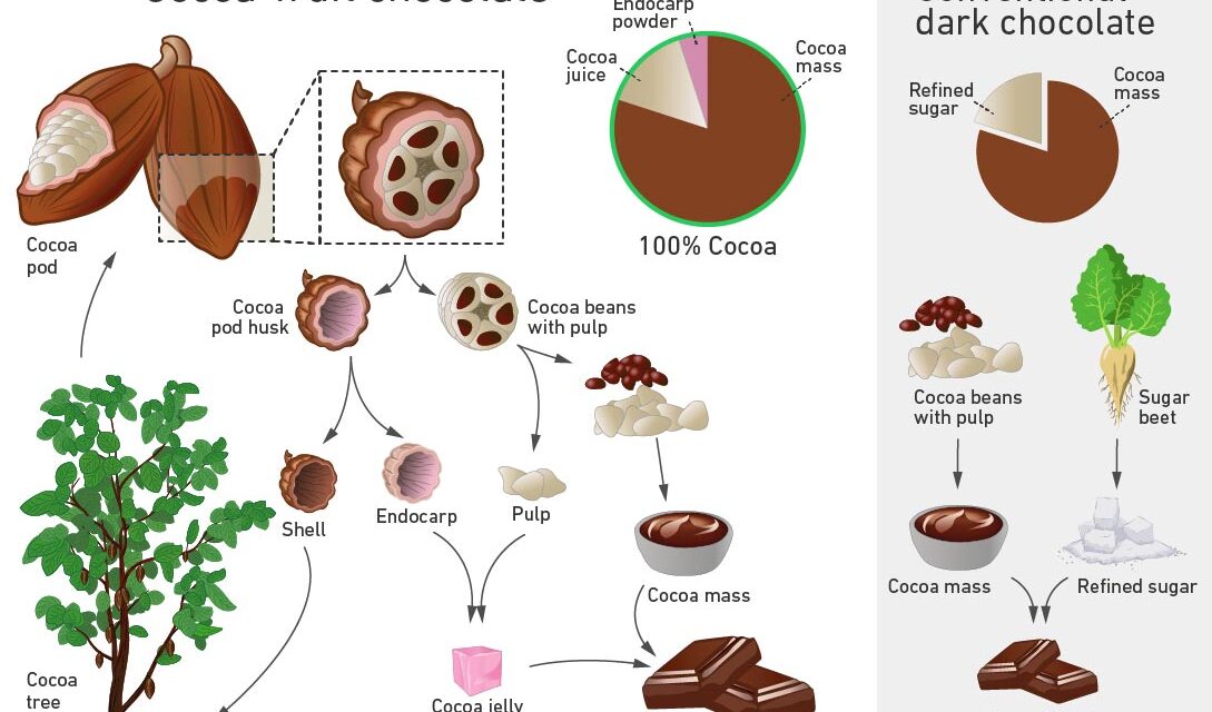 New Advancement: Scientists Create Eco-Friendly, Healthier Chocolate