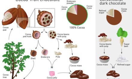 New Advancement: Scientists Create Eco-Friendly, Healthier Chocolate