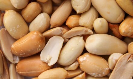 Early Introduction of Peanuts Reduces Peanut Allergy Risk in Adolescence by 71%, Study Finds