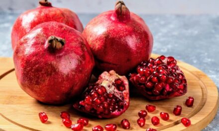 Pomegranates Identified as Potential Key in Preventing and Treating Alzheimer’s Disease