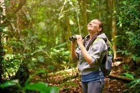 Birdwatching Boosts College Students’ Mental Health, Study Finds