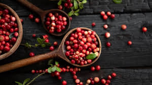 Cranberry Extracts Show Promise in Enhancing Gut Health and Fighting Chronic Diseases, Study Finds