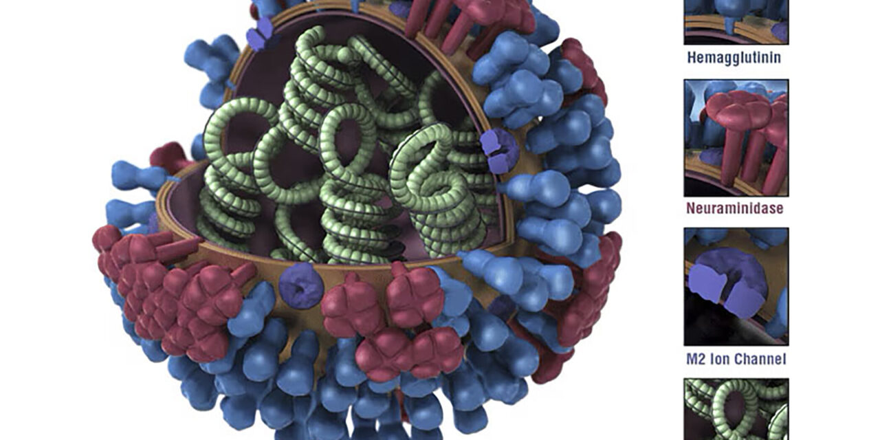 “Scientists in China have developed a lab-created virus capable of causing rapid fatality within three days”