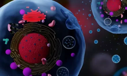 Researchers Uncover Mechanisms of Initiation and Progression in Basal Cell Carcinoma