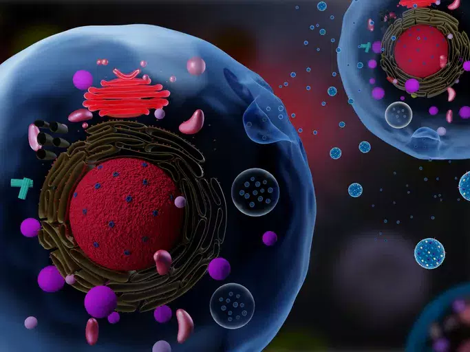 Body’s ‘message in a bottle’ delivers targeted cancer treatment