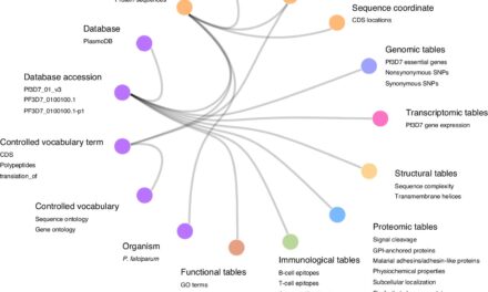 Advancing the Fight Against Malaria: A Novel Approach Utilizing Machine Learning for Vaccine Development