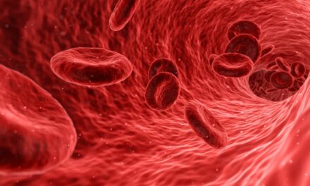 Over-Dilated Blood Vessels May Worsen Limb Ischemia, Study Finds