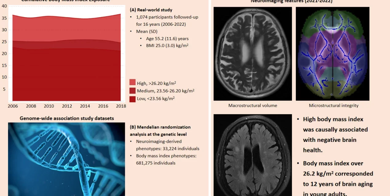 High BMI Linked to Accelerated Brain Aging by 12 Years, Study Finds