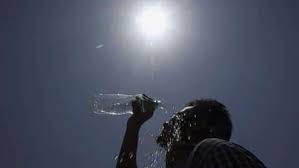 Global Study Reveals Heat Wave Mortality Impact