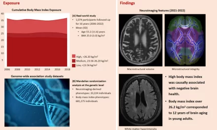 High BMI Linked to Accelerated Brain Aging by 12 Years, Study Finds