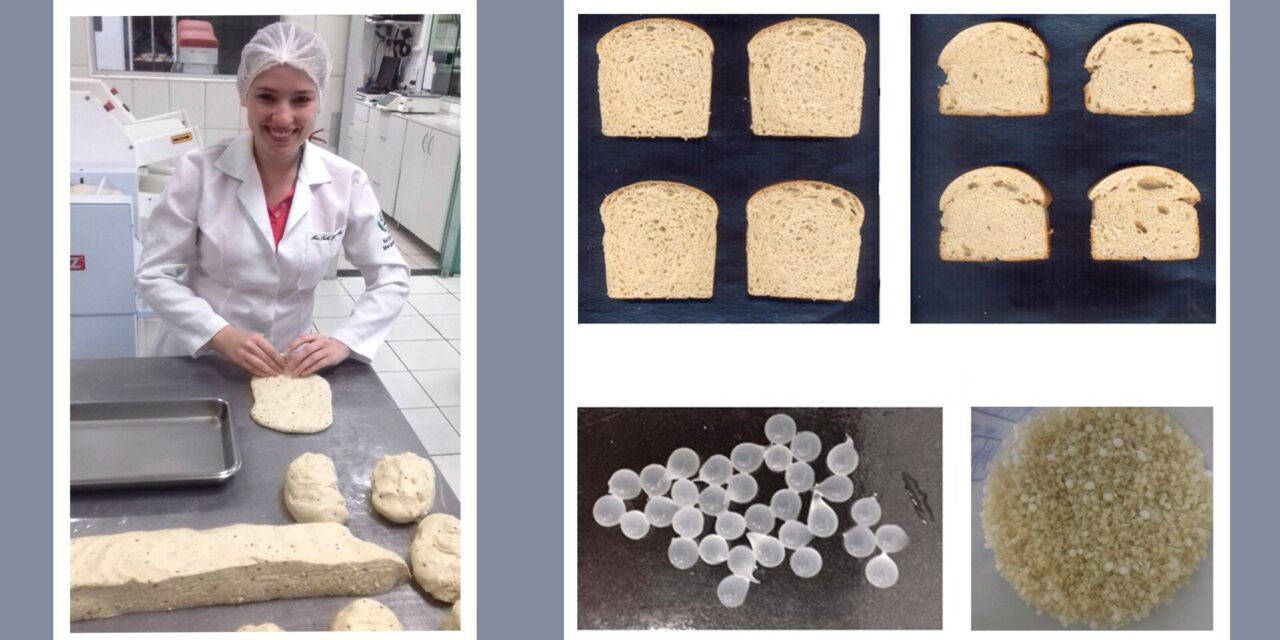 Brazilian Scientists Develop Functional Bread with Potential to Prevent Asthma