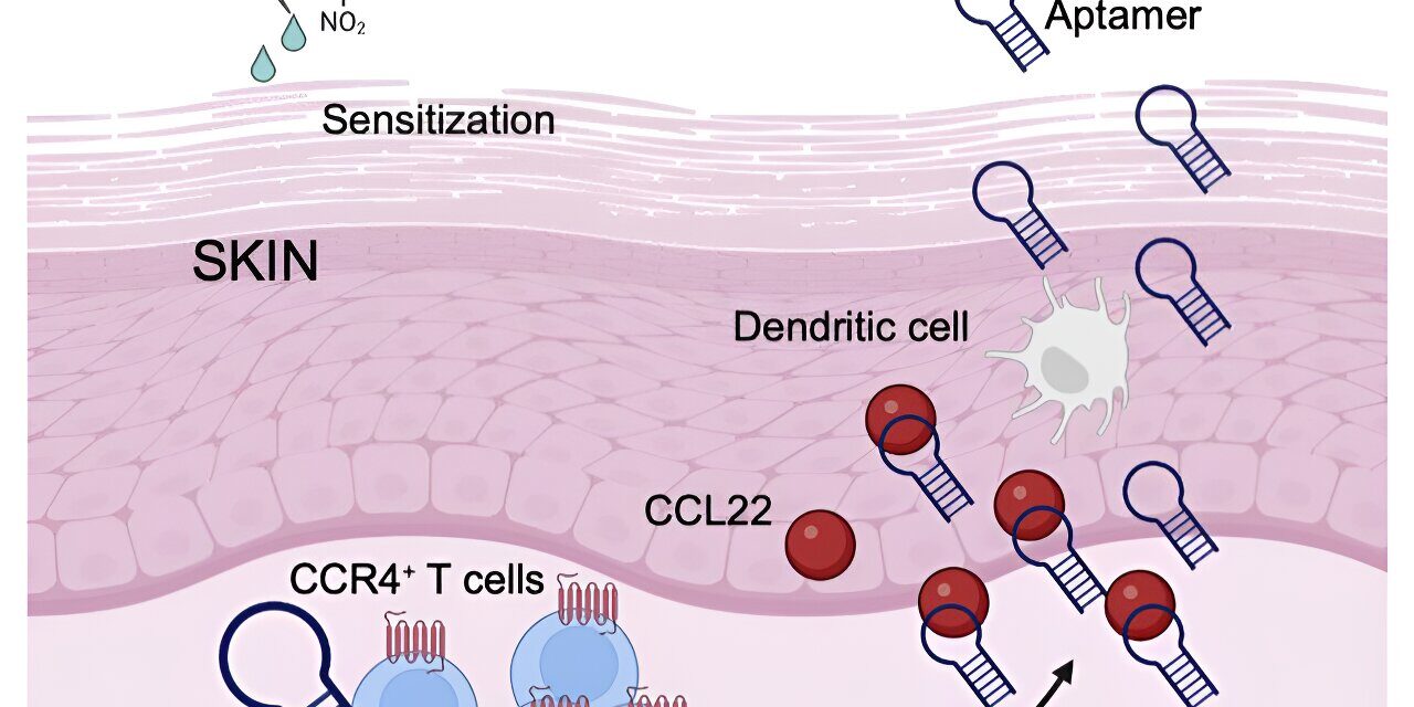 DNA-Based Ointment Shows Promise in Combating Allergic Contact Dermatitis