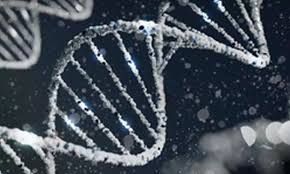 Landmark Study Uncovers Genetic Links to 42 Women’s Health Diagnoses